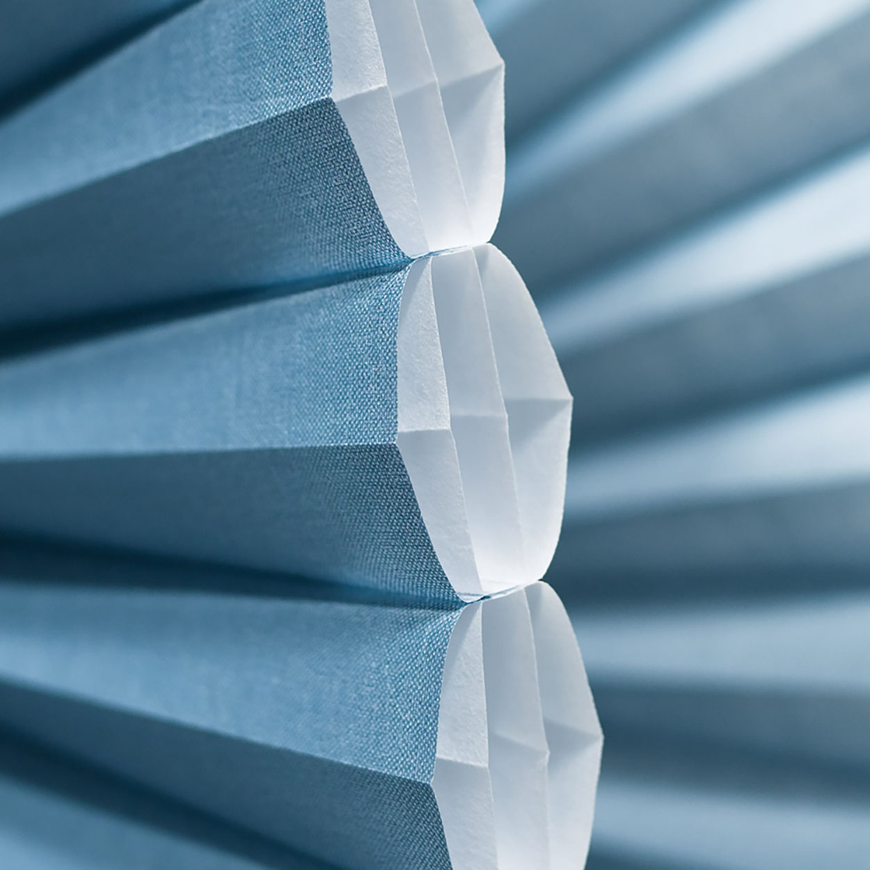 Ofis — Portraylı Honeycomb